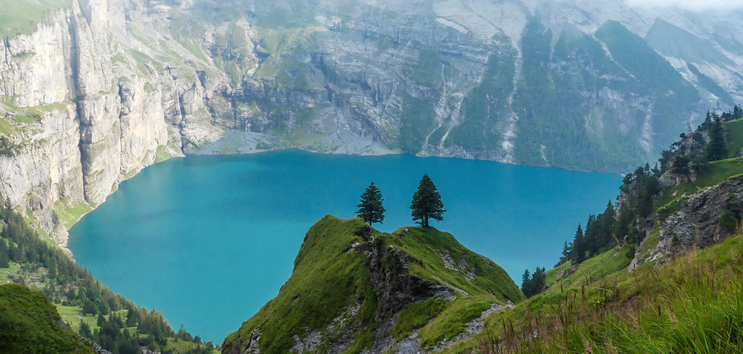 The Oeschinensee from above, two pines on the ridge that runs into it.