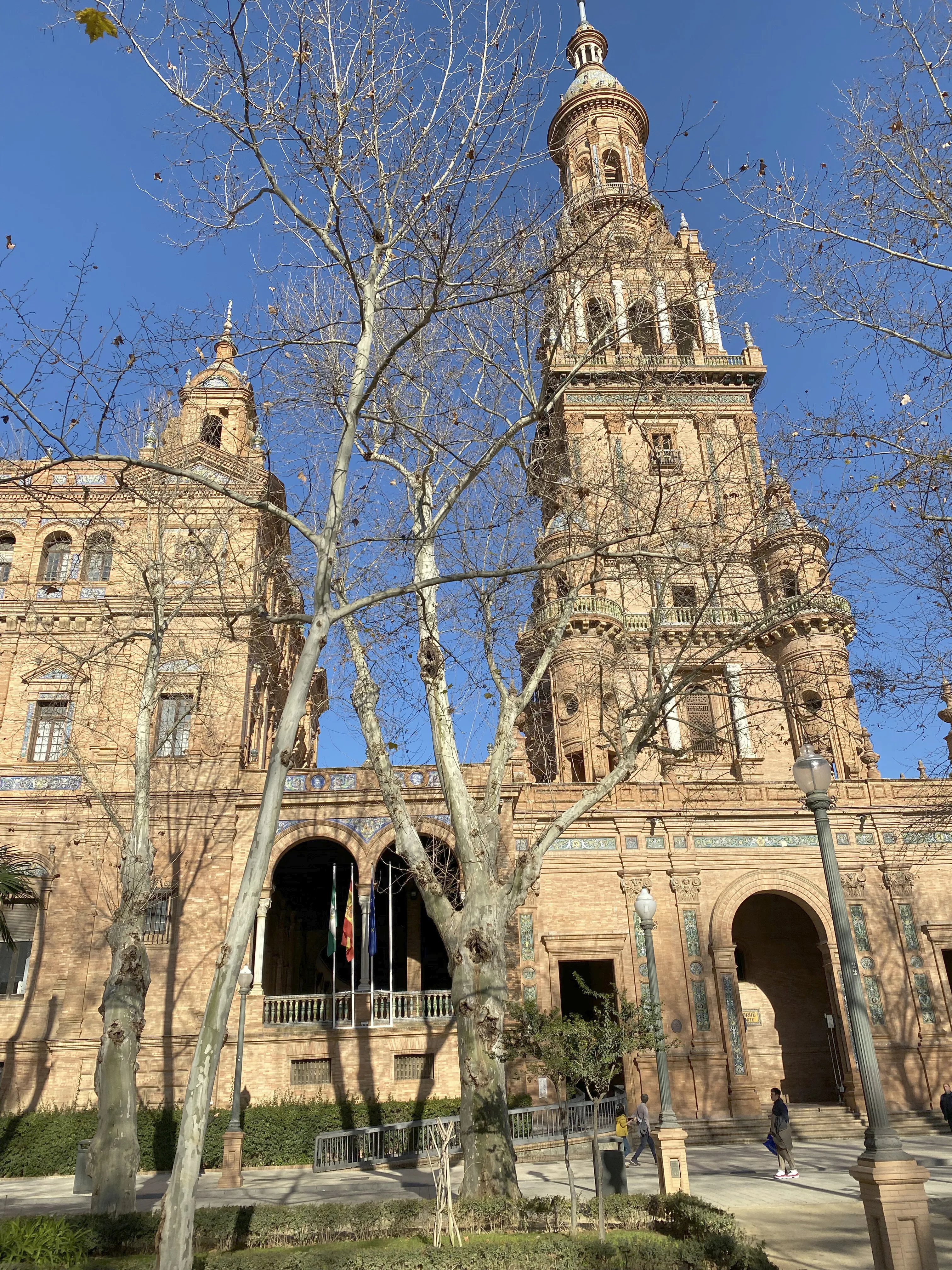A tower of the Plaza de España seen through bare plane trees.